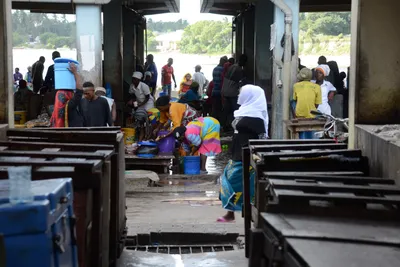 DSC_7593 (Large).JPG